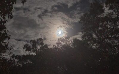 Traveling: By Car, Through Time, Sometimes Quickly, Usually Slowly