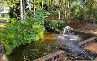 The Shipping News: Eating Crow