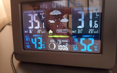 Heat, Humidity, Rain – and a Frog Update