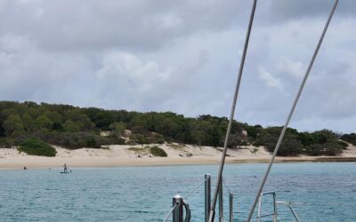 Snorkeling on the Reef!